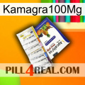 Kamagra100Mg 11